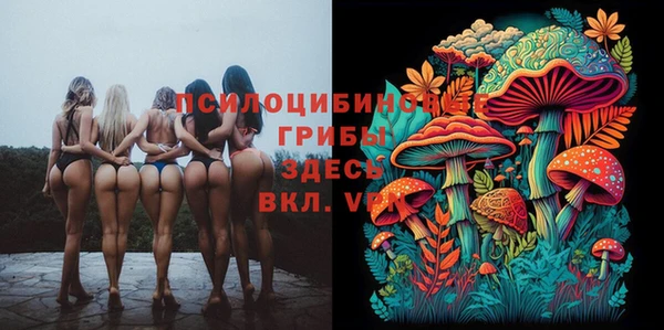 герыч Михайлов